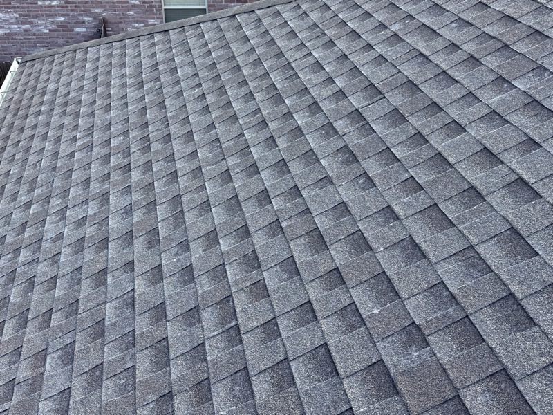 Shingle surface close up showing wear